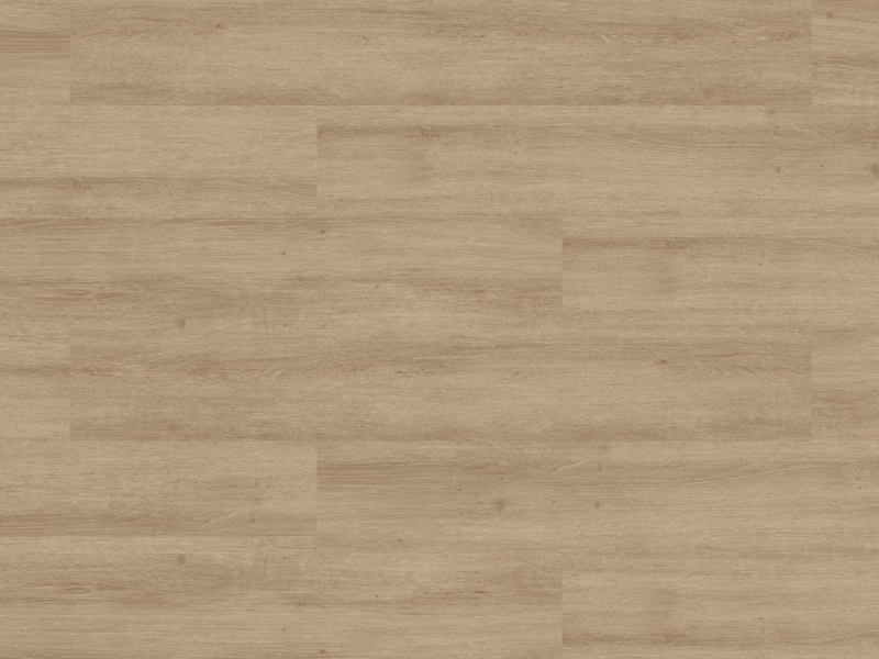 Acacia