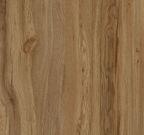 Vanoise Oak