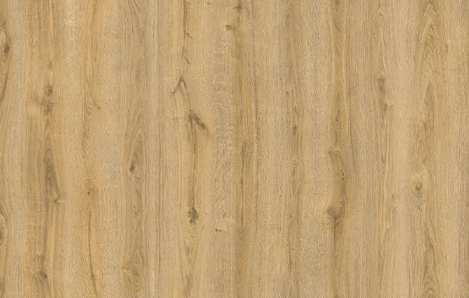 Acacia