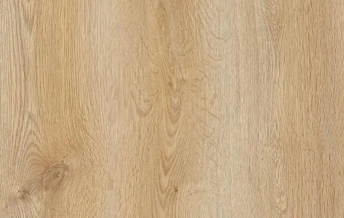 Trend Oak