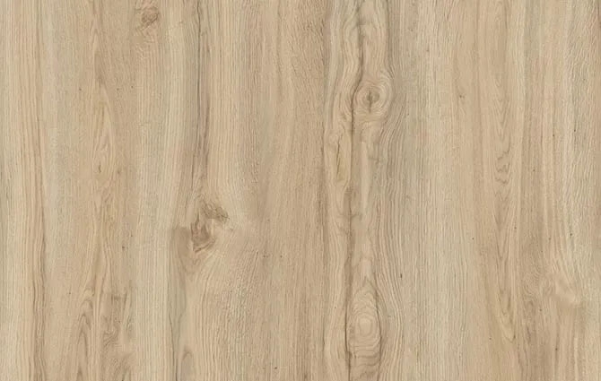 Gala Oak