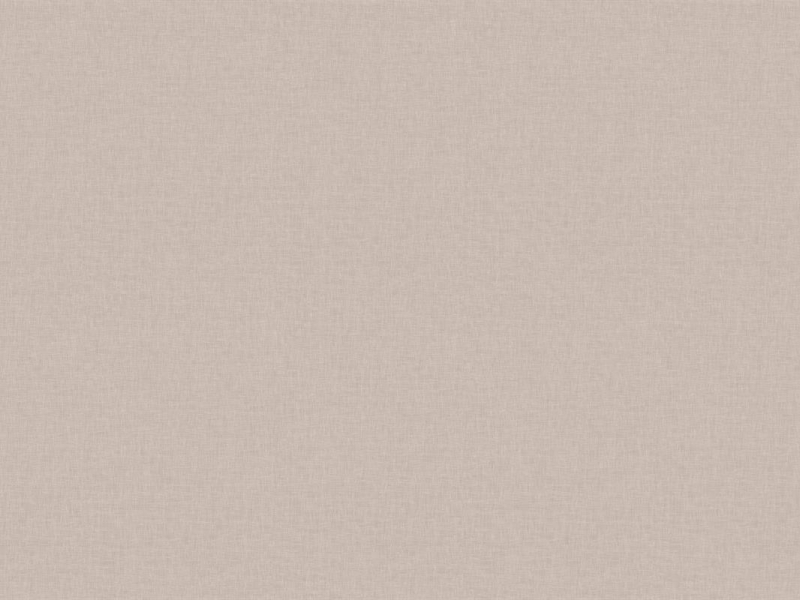 Vizon Latte