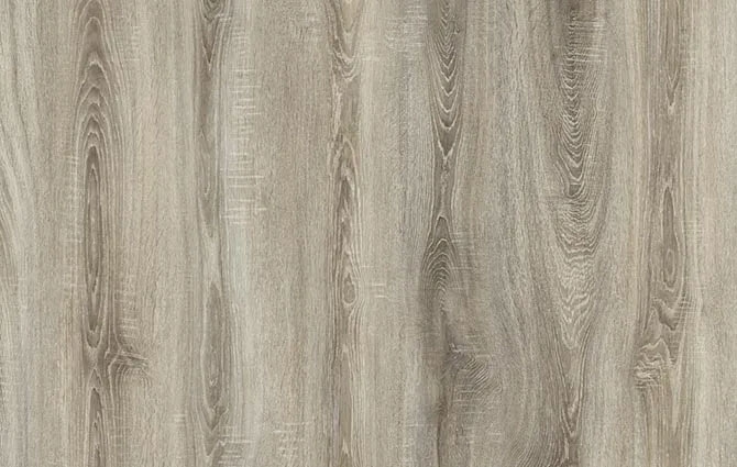 Silyon Oak